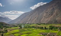 Ghazar 72 Pakistan